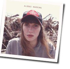 Hunter Chords by Aldous Harding