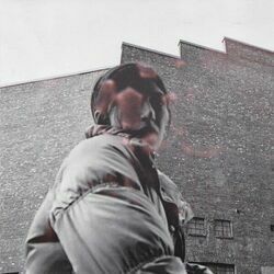 Tick Tock Chords by Aldous Harding