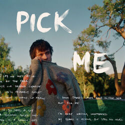 Pick Me Chords by Alec Benjamin