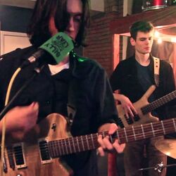 Animals Tabs by Alex G