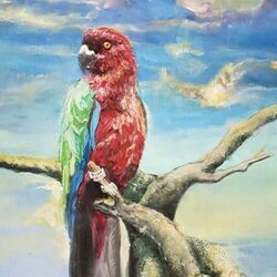 Runner Chords by Alex G