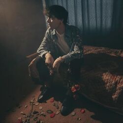 Leave Me In The Dark Chords by Alexander Stewart