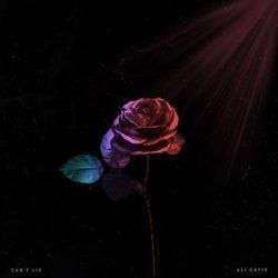 Can't Lie Chords by Ali Gatie