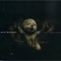 Get Born Again Chords by Alice In Chains