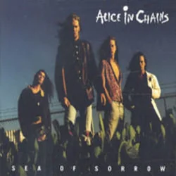 Sea Of Sorrow Bass Tab by Alice In Chains
