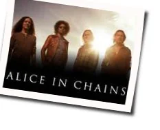 Shame On You Tab by Alice In Chains