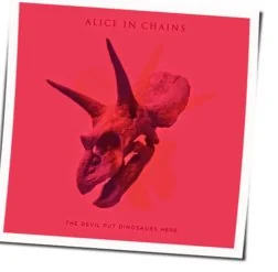 When The Sun Rose Again Tab by Alice In Chains