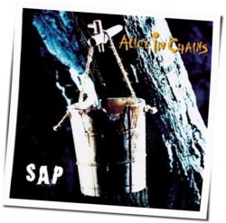 Brother Tabs by Alice In Chains