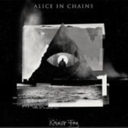 Drone Chords by Alice In Chains