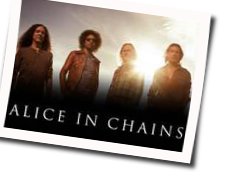 Shame On You by Alice In Chains