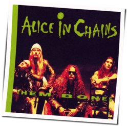 Them Bones  Solo tabs by Alice In Chains
