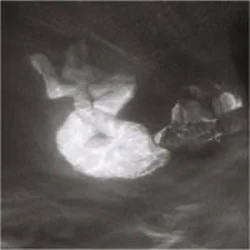 Lover Over The Moon Chords by Alice Phoebe Lou