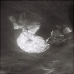 Only When I Chords by Alice Phoebe Lou