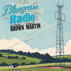 Bluegrass Radio Chords by Alison Brown