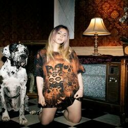 Down The Line Chords by Alison Wonderland