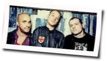 Settle For Satin Acoustic Chords by Alkaline Trio