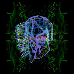 41 Bass Tab by All Them Witches