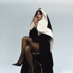 Lily Allen chords for Pussy palace