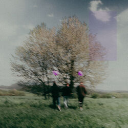 Fialová Chords by Alltide