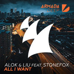 All I Want (feat. Liu, Stone Fox) by Alok