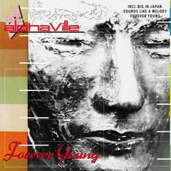Alphaville bass tabs for Forever young