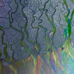 Ms Tab by Alt-J