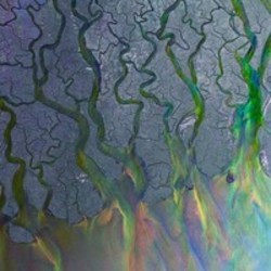 Dancing In The Moonlight Chords by Alt-J