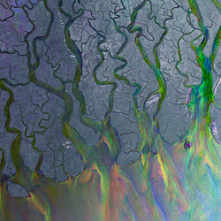 Ms Tabs by Alt-J