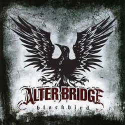 Blackbird Chords by Alter Bridge