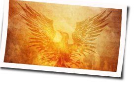 Blackbird  Chords by Alter Bridge