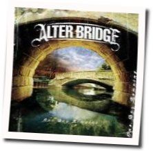 In Loving Memory Acoustic Chords by Alter Bridge