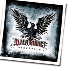 Waters Rising Tabs by Alter Bridge