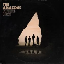 Dark Visions Bass Tab by The Amazons