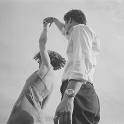 Stain Chords by Amber Rose