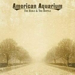 Stars And Scars by American Aquarium