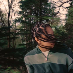 Trees For The Woods Chords by Amie Blu