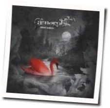Stone Woman Tab by Amorphis