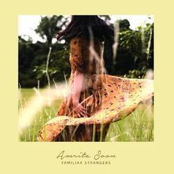 Familiar Strangers Chords by Amrita Soon