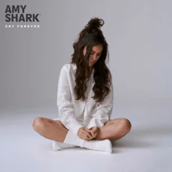 All The Lies About Me Chords by Amy Shark