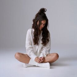 The Wolves Chords by Amy Shark