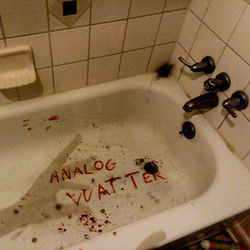 The Insignificance Of Broccoli Chords by Analog Watts