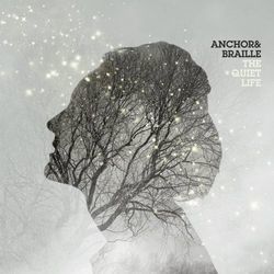 Everybody Here Wants You Bass Tab by Anchor And Braille