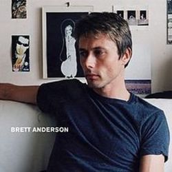 The More We Possess The Less We Own Of Ourselves by Brett Anderson
