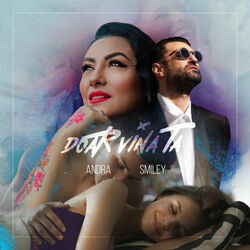 Doar Vina Ta Chords by Andra