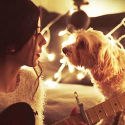 Christmas Time Is Here Chords by Daniela Andrade