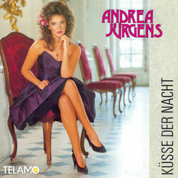 Ich Hab Dir Nie Den Himmel Versprochen Chords by Andrea Jürgens