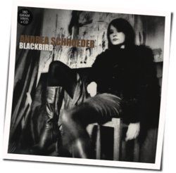 Andrea Schroeder chords for Death is waiting