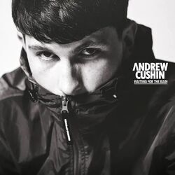 Comedown by Andrew Cushin