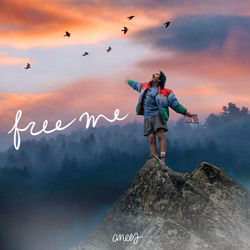 Free Me by Anees