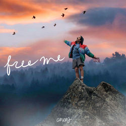Free Me Chords by Anees